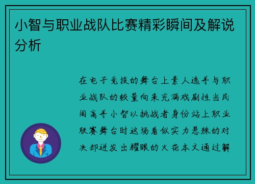 小智与职业战队比赛精彩瞬间及解说分析