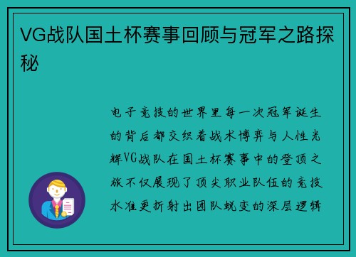 VG战队国土杯赛事回顾与冠军之路探秘